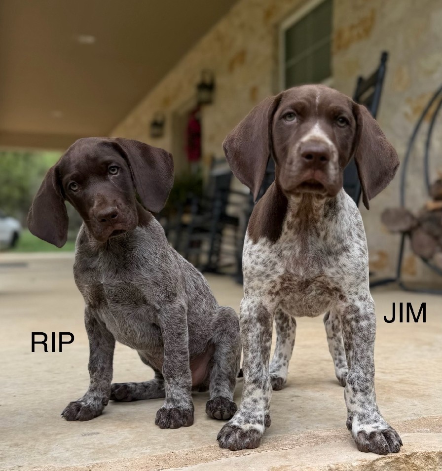 PHOEBE X COLT / RIP AND JIM