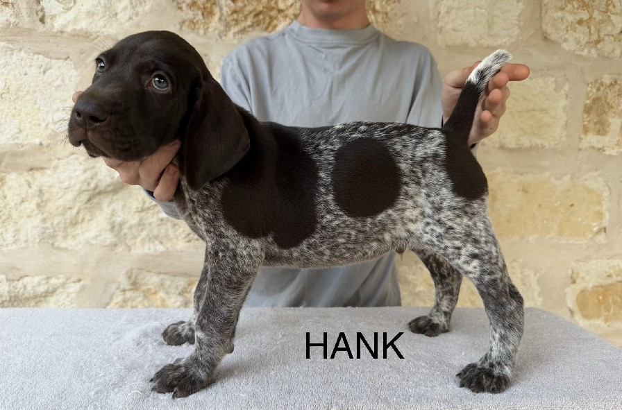 SALLY X COLT / HANK