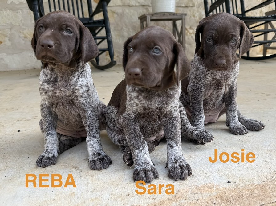 MILLIE X MAX GIRLS / REBA - JOSIE - SARA