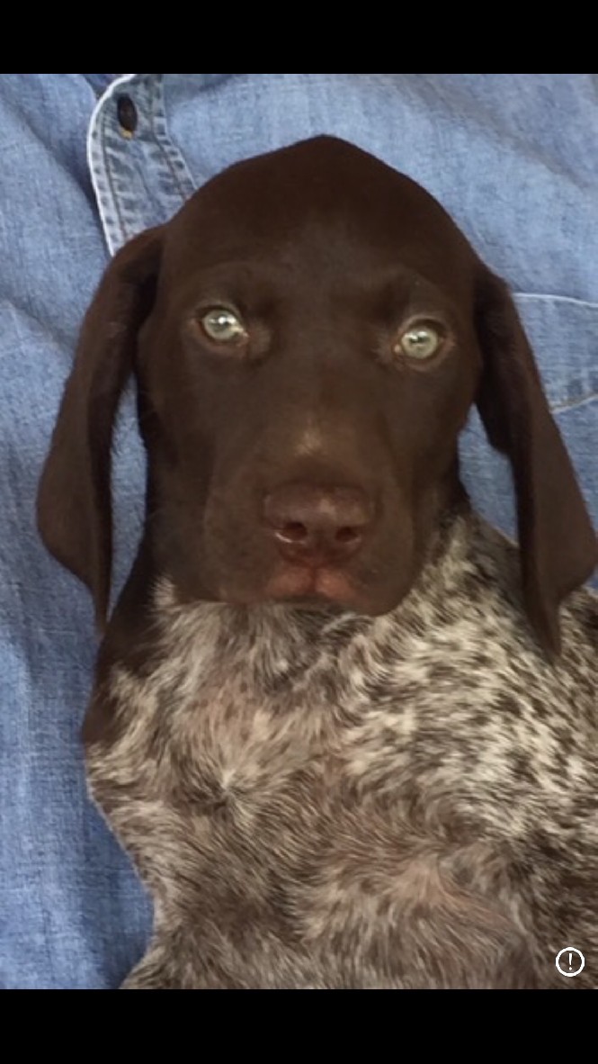 CLASSIC’S MISS MERLE