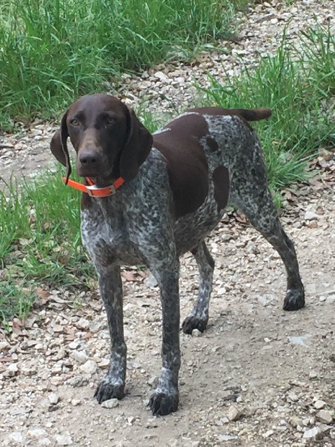 CLASSIC’S YOU BE THE JUDGE PHOEBE