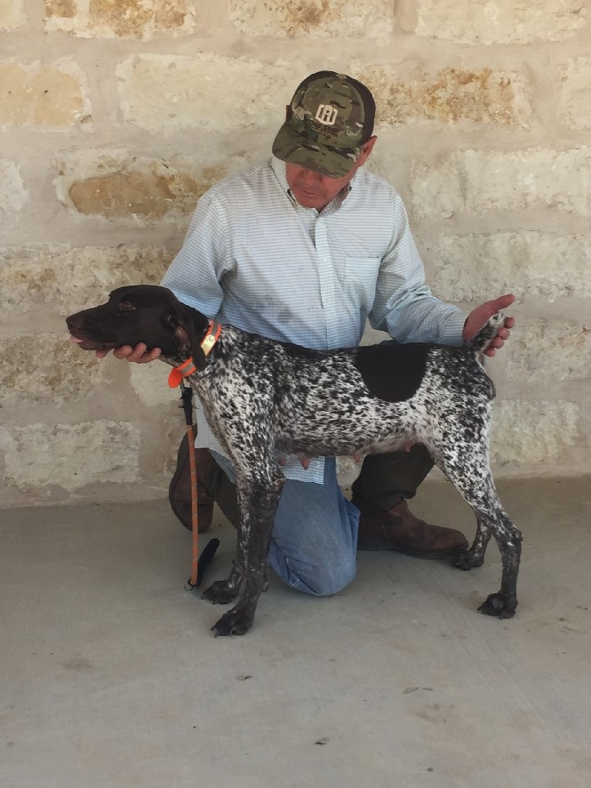 CLASSIC’S HAYS CITY BAILEY