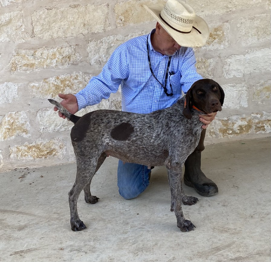 CLASSIC’S LADY MAY