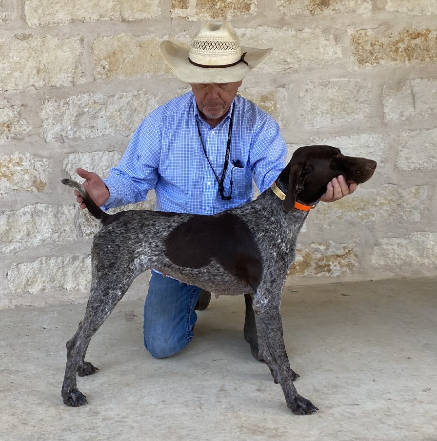 CLASSICS LONE STAR MILLIE