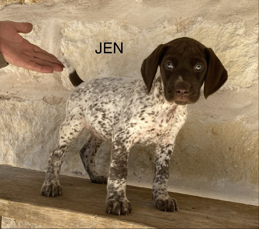 BAILEY X MAXIMILIAN JEN