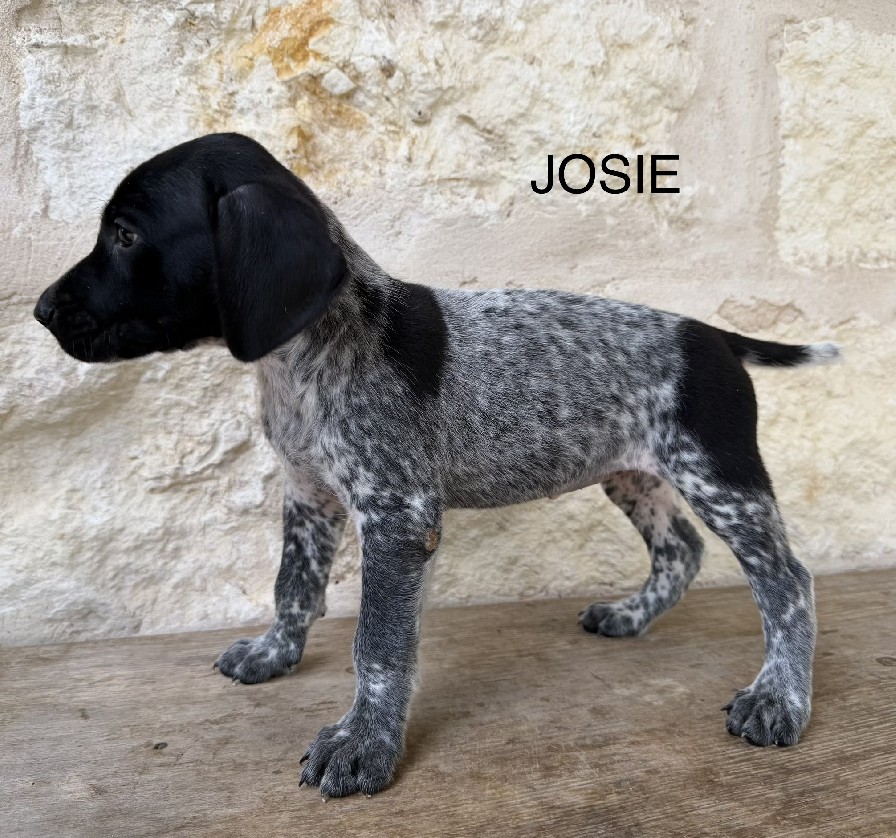 MAXIMILIAN X MILLIE / JOSIE