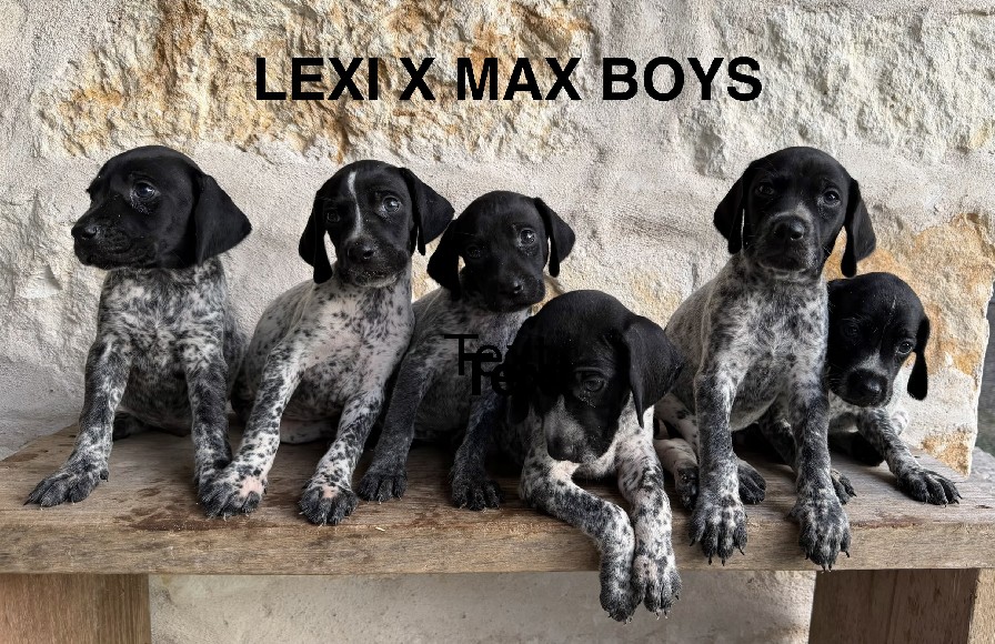 LEXI X MAX BOYS