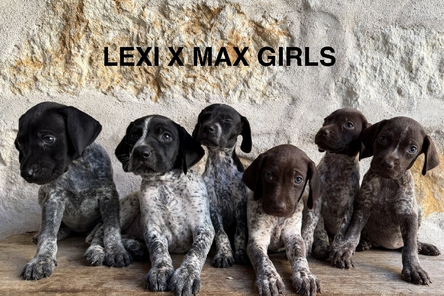 LEXI X MAX GIRLS